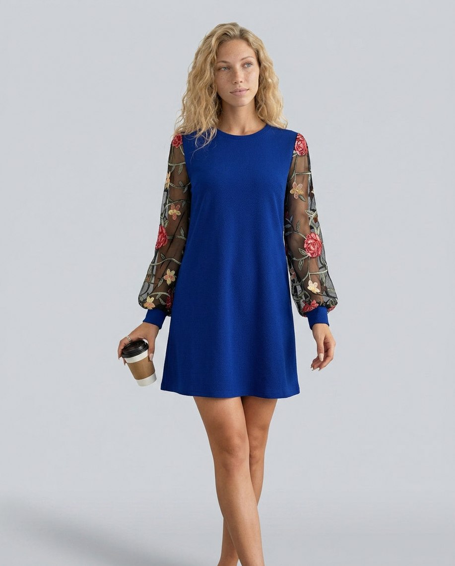 Embroidered Long Sleeve A-Line Mini Dress