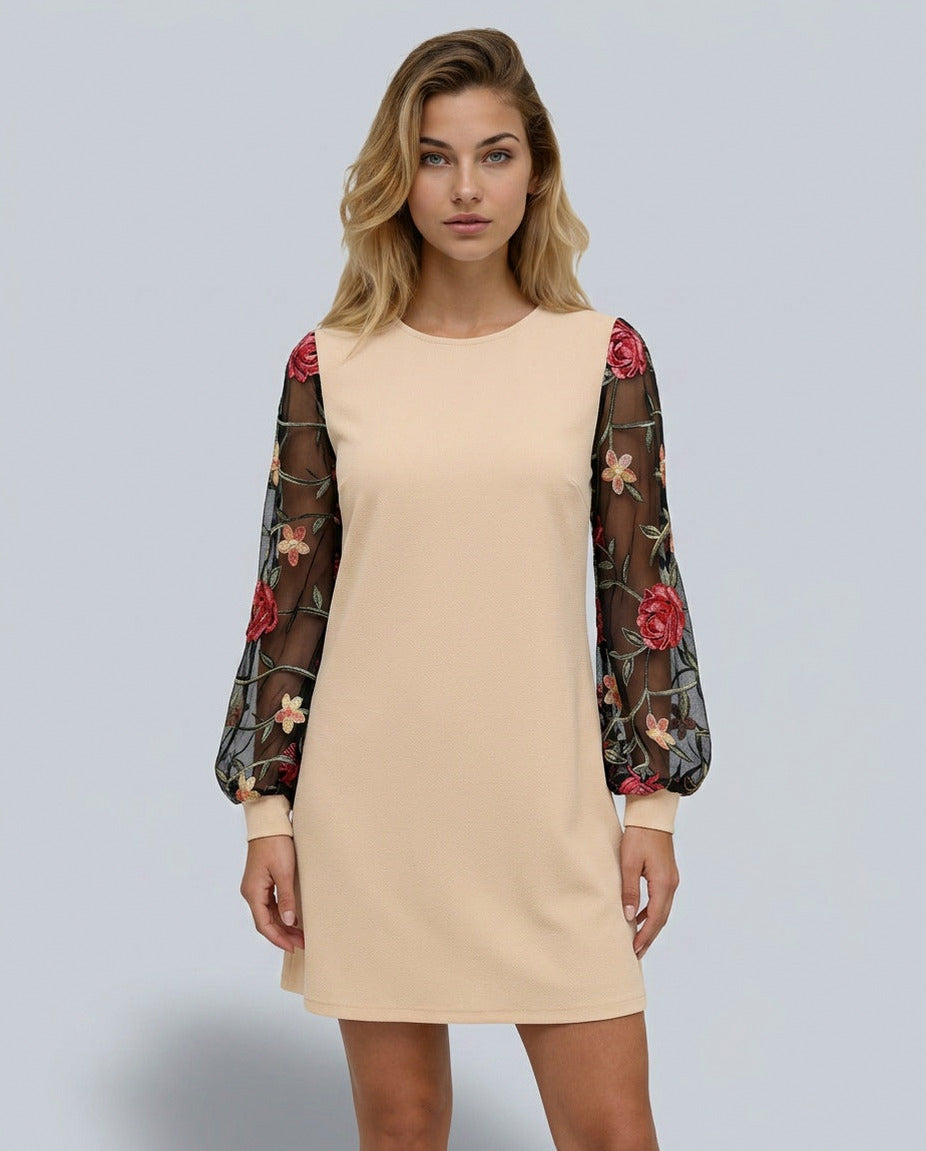 Embroidered Long Sleeve A-Line Mini Dress