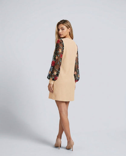 Embroidered Long Sleeve A-Line Mini Dress