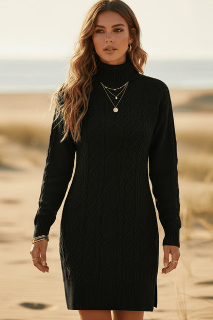 Knit Turtleneck Long Sleeve Mini Dress