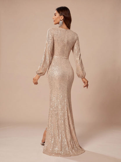 Sequin Long Sleeve Maxi Dress